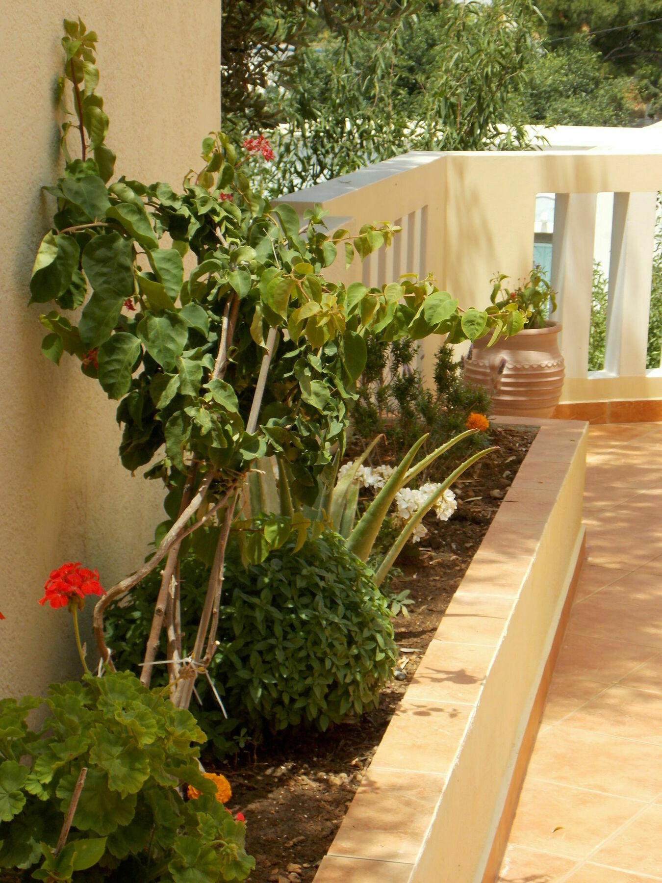 Myrties Boutique Apartments Masouri Exterior photo